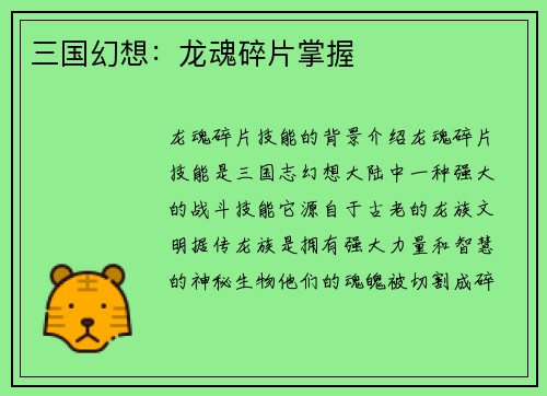 三国幻想：龙魂碎片掌握
